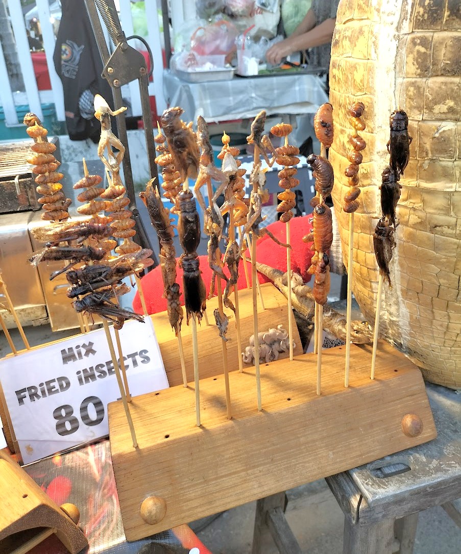 チェンマイのサンデーナイトマーケットで昆虫の串焼きを発見