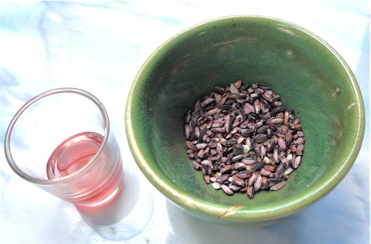 ルアンパバーン郊外で蒸留酒「ラオラオ」造りを見学